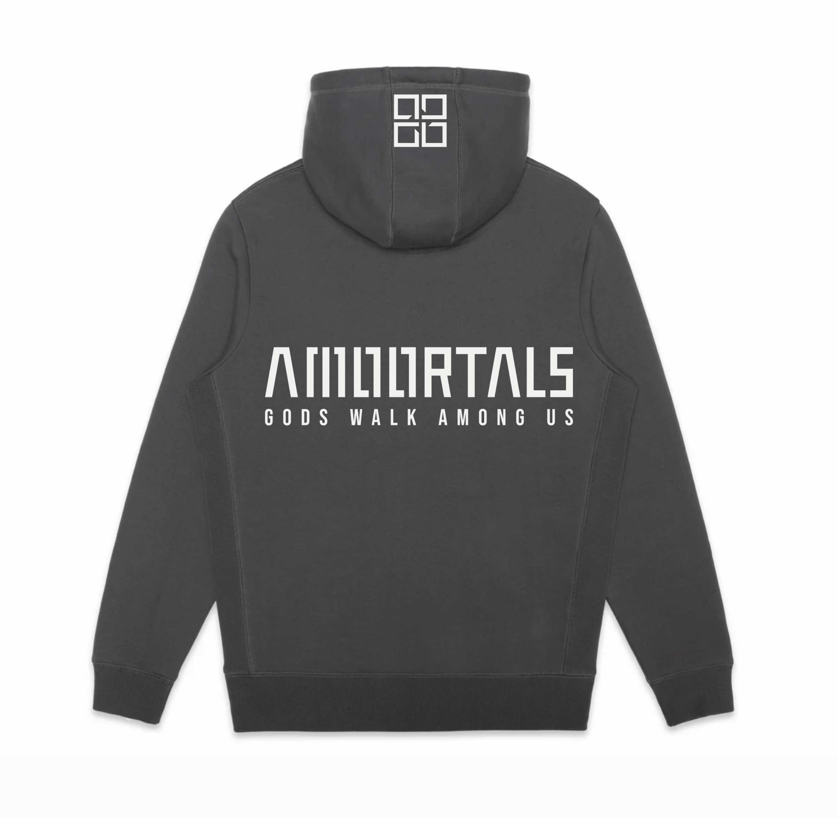 AMOORTALS MIDWEIGHT HOODIE SWEATSHIRT | SMOKED